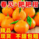 栩季（XUJI）四川春見耙耙柑 新鮮水果粑粑葩葩柑當(dāng)季丑橘丑八怪桔子甜柑整箱 5斤【甄選特級果】