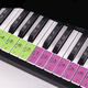 小魚(yú)花花鋼琴鍵盤(pán)貼紙88鍵彩色透明61電子琴手卷五線(xiàn)譜簡(jiǎn)譜按鍵音標鍵位貼鋼琴鍵盤(pán)貼 54/61/88鍵【彩色】+黑鍵貼