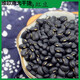 星潤嘉浙江烏豇豆缸豆白芯豆黑豇豆酒糊小土黑豆豆沙五谷雜糧 黑飯 烏豇豆 1斤