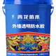 青龍外墻透明防水膠瓷磚外墻立面大理石防水涂料墻面滲水補漏材料 10公斤刷40平方