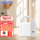 vivo充電器原裝閃充120W套裝支持快充x100/x100proX90/X80X70pro手機(jī)iQOO12Neo9/8 Z7z8S17手機(jī)通 vivo120W1米線(xiàn)套裝 vivo原裝 全國(guó)聯(lián)保