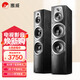 惠威（HiVi）D60F 家庭影院前置音箱主音響2.0聲道木質(zhì)落地式hifi發(fā)燒級高保真電視HiFi音響