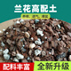 花大師 蘭花專用土蝴蝶蘭君子蘭專用花土營養(yǎng)土蘭花植料松樹皮顆粒透氣 高配版12升（精選石料不含火山石）送3禮