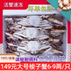 全母梭子蟹特大母蟹海蟹飛蟹螃蟹冷凍海鮮3-6兩梭子蟹新鮮 凈重7斤梭子蟹大公蟹【10-13只】