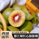 青惠悠都江堰紅心獼猴桃新鮮現摘正宗四川彌胡迷糊桃奇異果孕婦水果蒲江 大果【80-110g】 【精選5斤裝】
