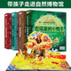 神奇的生命3D立體書(shū)奇妙自然生命玩具書(shū)（套裝4冊(cè)）翻翻書(shū)系列給中國(guó)孩子的百科博物館兒童啟蒙科普立體書(shū)《螞蟻的秘密》《認(rèn)識(shí)恐龍》《農(nóng)場(chǎng)里的小鴨子》《森林里的石榴樹(shù)》 [3-6歲]