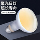 龜真壽爬寵UVA日光加熱燈  50W  烏龜曬背燈加溫燈