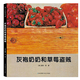 灰袍奶奶和草莓盜賊  隱藏?zé)o數(shù)秘密的無字圖畫書