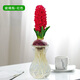 御春閣風(fēng)信子種球水培套裝室內陽(yáng)臺桌面四季水養花卉土培盆栽植物好養的 紅色+水培玻璃瓶+營(yíng)養液