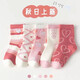 雅鹿5雙裝兒童襪子秋冬男童女童洋氣韓版男孩春秋中筒襪小孩寶寶 混色 5雙 S 腳長(cháng)12-15cm 3-5歲