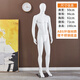 藝馨維尼全身模特道具男女士體假人臺仿真模型櫥窗婚紗裝內衣服裝店展示架 男模特左邁腿 官方標配