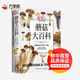 DK蘑菇大百科 視覺(jué)工具書(shū) 精裝插圖 托馬斯萊瑟斯 系統介紹450多種野生蘑菇 青少年科普百科課外讀物書(shū)籍正版書(shū)籍