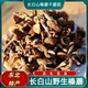 2024新貨長白山特產級野生榛蘑東北小雞燉蘑菇干貨無根（順豐包郵 500g