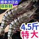 愷蒂鮮 蝦大蝦新鮮黑虎蝦特大蝦鮮活冷凍超大蝦批發(fā)老虎蝦九節蝦海鮮 350克(凈重)  *3盒【活蝦急凍】 大號【13-15厘米】一盒16只