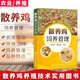 散養(yǎng)雞飼養(yǎng)管理 養(yǎng)雞技術(shù)書籍大全 散養(yǎng)土雞養(yǎng)殖實用技術(shù) 雞病診斷治療 蛋雞肉雞養(yǎng)殖技術(shù) 養(yǎng)雞書籍