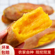 遇見憫農(nóng)現(xiàn)挖紅薯新鮮沙地蜜薯番薯烤地瓜新鮮蔬菜生鮮整箱產(chǎn)地直發(fā) 現(xiàn)挖沙窩紅薯含箱5斤 優(yōu)選（大小隨機(jī)）