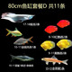 樂淘逸寵銀龍魚活體大中型熱帶觀賞魚魚缸寵物淡水風(fēng)水魚發(fā)財魚金龍魚 80cm魚缸套餐D發(fā)順豐