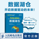 數(shù)據(jù)湖倉 大數(shù)據(jù)管理數(shù)據(jù)倉庫數(shù)據(jù)湖湖倉一體建設數(shù)據(jù)湖架構數(shù)據(jù)網(wǎng)格計算機數(shù)據(jù)分析書籍
