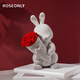 諾誓ROSEONLY【永生花】玫瑰花公仔甜心兔七夕生日禮物女生女友告白