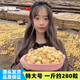 鯊魚(yú)哥干貝瑤柱500g元貝禮盒特大海鮮干貨淡干無(wú)加鹽扇貝肉商用煲蝦仁粥 大號500克（一斤約280粒左右）