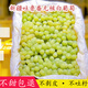 曠古農業(yè)新疆無(wú)核白葡萄無(wú)籽新鮮馬奶提子水果整箱 4.5斤