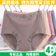玫紅摩登純棉內褲女款蕾絲高腰加肥加大碼200斤褲衩子胖mm底褲特大號內內 郝石紅+牛仔藍+麥糖+灰紫=4條裝 XL【80~105斤】