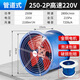 壹玖捌捌SF軸流風(fēng)機工業(yè)鼓風(fēng)機管道式抽風(fēng)機強力排氣扇大功率排風(fēng)扇換氣扇 管道式【250-2P】高速220V泡沫裝