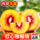 四川紅心獼猴桃2025新鮮奇異果應(yīng)當(dāng)季時(shí)令孕婦水果整箱 中果10粒【70-90g】
