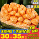 閩農(nóng)語果【爆甜】菠蘿蜜整個(gè)海南菠蘿蜜菠蘿蜜水果菠蘿蜜干苞紅肉菠蘿蜜 【黃色肉】15-20斤【享受裝】
