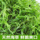 龍須菜涼菜火鍋菜5斤/2斤/1斤山東特產(chǎn)涼拌菜頭發(fā)菜海發(fā)菜海草藻 1000g（兩斤）