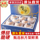 桃李村山東萊陽(yáng)羊脂秋月梨 現摘現發(fā)冰糖秋月梨時(shí)令生鮮水果中秋禮盒裝 3斤優(yōu)選嘗鮮裝【單果200g-250g】