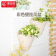 愛(ài)麗思（IRIS）壁掛花盆樹(shù)脂壁掛IRIS墻掛陽(yáng)臺欄桿垂吊多肉綠蘿吊蘭綠植創(chuàng  )意 2.3L淺米色 無(wú)掛鉤