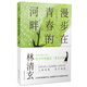 漫步在青春的河畔（林清玄給少年的一堂生命課） 