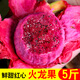 海南金都一號紅心火龍果當(dāng)季新鮮孕婦水果精品大果5斤包郵 5斤中果 [經(jīng)濟(jì)嘗鮮]