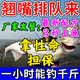 雙寶翹嘴小藥釣魚(yú)小藥夏釣翹嘴專(zhuān)用餌料泡玉米路亞小藥打窩誘魚(yú)添加劑 翹嘴絕戶(hù)藥【拍3發(fā)5】一滴爆戶(hù)