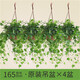 花友常春藤吊籃盆栽室內藤編花籃裝飾爬藤綠植物桌面 165常春藤-原裝吊盆×4（藤長(cháng)30-50cm） 含盆