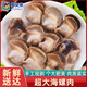鮮又來(lái)海螺肉鮮活現剝海螺海鮮水產(chǎn)特大海螺即食冷凍花螺現殺 嘗鮮裝 0.5kg
