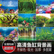 金利佳（Jeneca） 魚缸專用背景紙水族箱高清背景畫龜缸背景圖飼養(yǎng)缸貼紙壁紙壁畫 80高102長（瀏覽詳情選款式）
