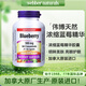 Webber Naturals偉博天然 濃縮藍(lán)莓精華膠囊 明眸美膚亮眼護(hù)眼藍(lán)寶石 120粒