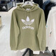 阿迪達(dá)斯 （adidas）三葉草男裝衛(wèi)衣夏季新款運(yùn)動(dòng)健身訓(xùn)練連帽時(shí)尚舒適透氣套頭衫 HE4952 綠色連帽 M -50