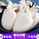 新鮮小墨魚(yú)仔鮮活海鮮小烏賊墨斗魚(yú)墨魚(yú)仔冷凍生鮮 墨魚(yú)仔小號 500g(凈重)  左右 京東物流
