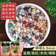 碎石顆粒天然五彩花石白石子多肉鋪面魚(yú)缸造景花盆花載卉裝飾庭院鋪路裝飾 百雅達 天然彩石6-9mm 5斤