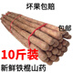 枝遙（ZHIYAO）【現貨速發(fā)】鐵棍山藥 5斤正宗現挖淮山懷山藥壚土焦作溫縣 新鮮 鐵棍山藥 5斤裝帶箱