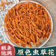 聚和泰 新鮮干貨蟲草花200g 孢子頭金蟲草北蟲草蛹蟲草花羊肚菌中藥材 蟲草花200g