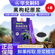 華北制藥青海黑枸杞原漿鮮果鮮榨 天然花青素100ml盒新鮮鮮果鮮榨黑枸杞 黑枸杞原漿100ml*6盒