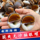 香螺玉螺貓眼螺鮮活速凍有黃大東港海鮮海螺貝類新鮮 香螺 1000g