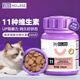 衛(wèi)仕貓多維200片 貓用復(fù)合惟生素b片美毛寵物營養(yǎng)貓咪維生素貓?zhí)\ (貓)貓多維 100g