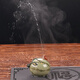康韻 茶寵擺件手工創(chuàng)意精品噴水茶寵青蛙茶玩可養(yǎng)功夫茶盤(pán)擺件 西瓜青蛙?chē)娝鑼? title=