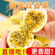顏小葒廣西欽蜜9號黃金百香果 當(dāng)季現(xiàn)摘新鮮香甜西番蓮純甜百香果 嘗鮮款1斤（約9個）汁水豐富