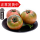 ZXC遼寧丹東柿子草莓柿子 鐵皮油柿子 新鮮綠腚西紅柿番茄 5斤 順豐
